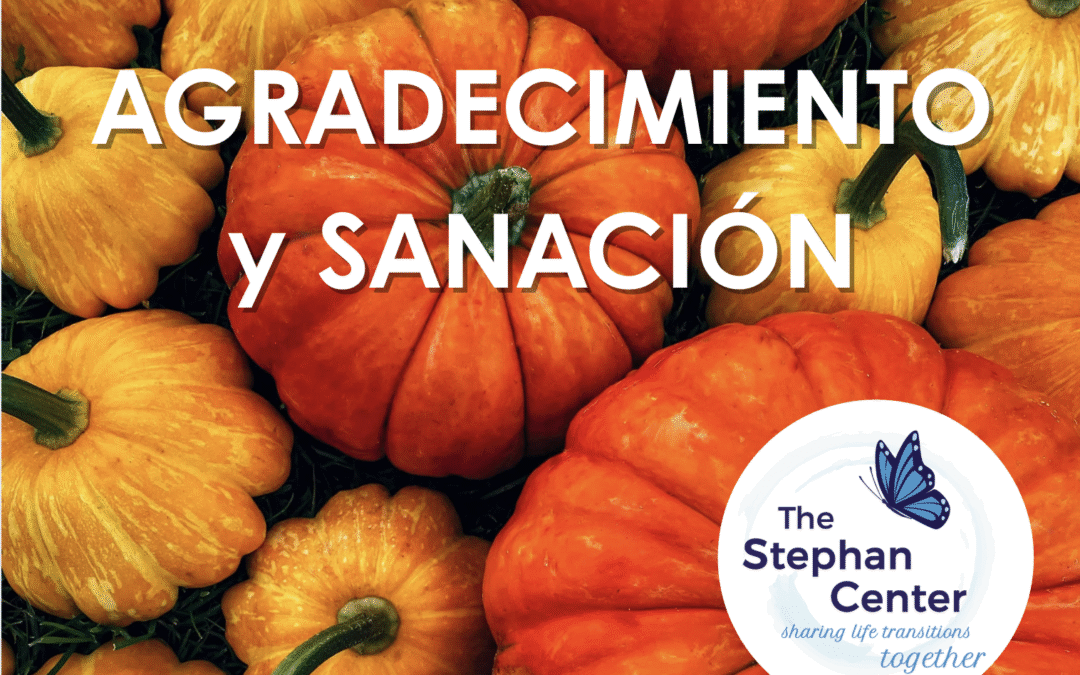 Agradecimiento y Recuperación